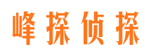 赤坎侦探公司